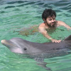 “342 Prompts for Cute & Cozy Coloring Books Review (2026): A Complete Guide to Creating Best-Selling Relaxing Coloring Books”